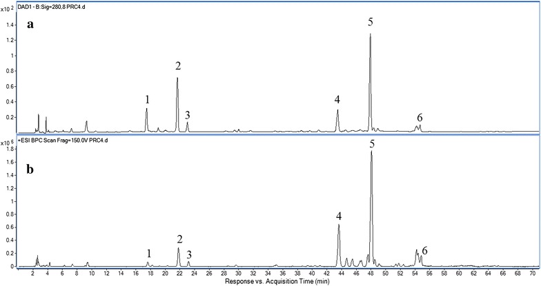 Fig. 2