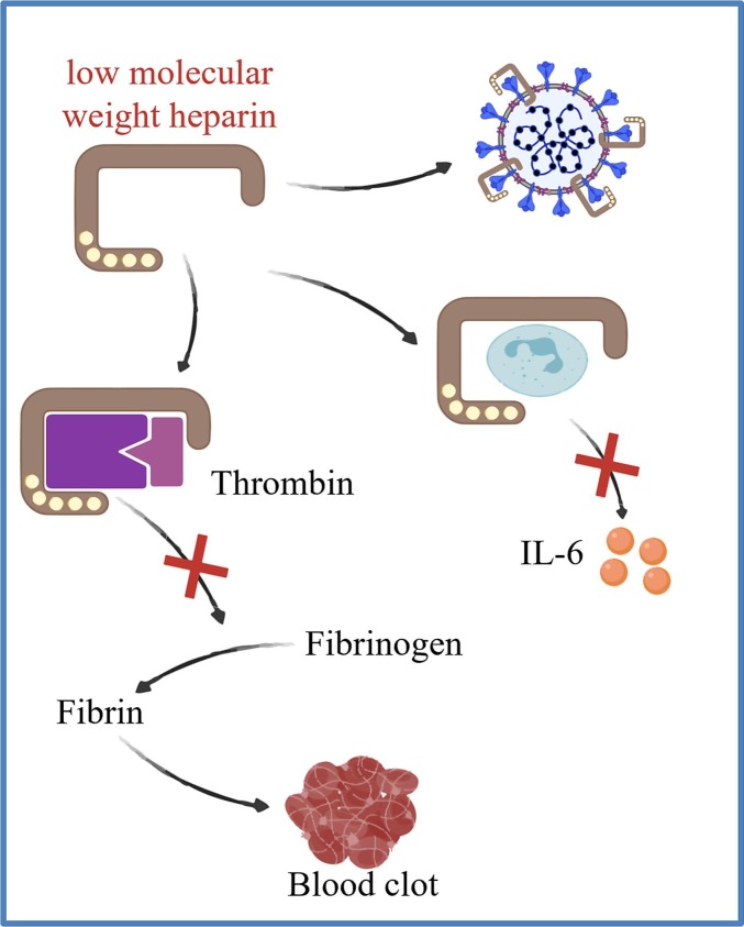 Fig. 6