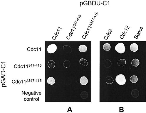 FIG. 10.