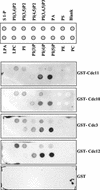FIG. 4.