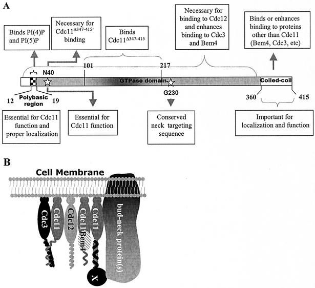 FIG. 12.