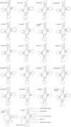 FIG. 2.