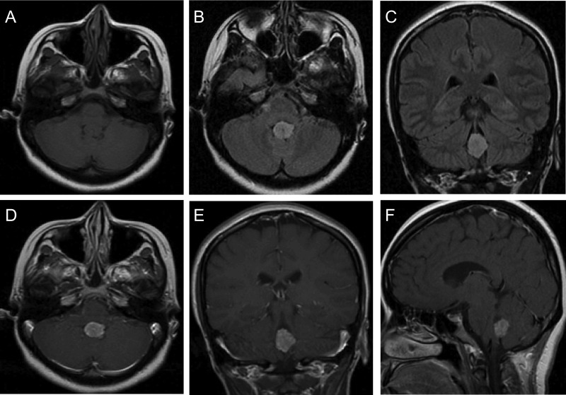 Fig. 3.