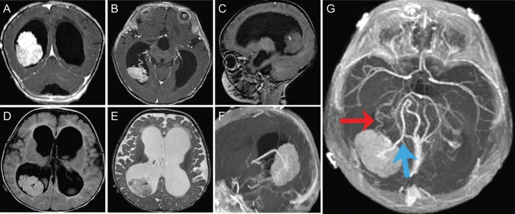 Fig. 4.