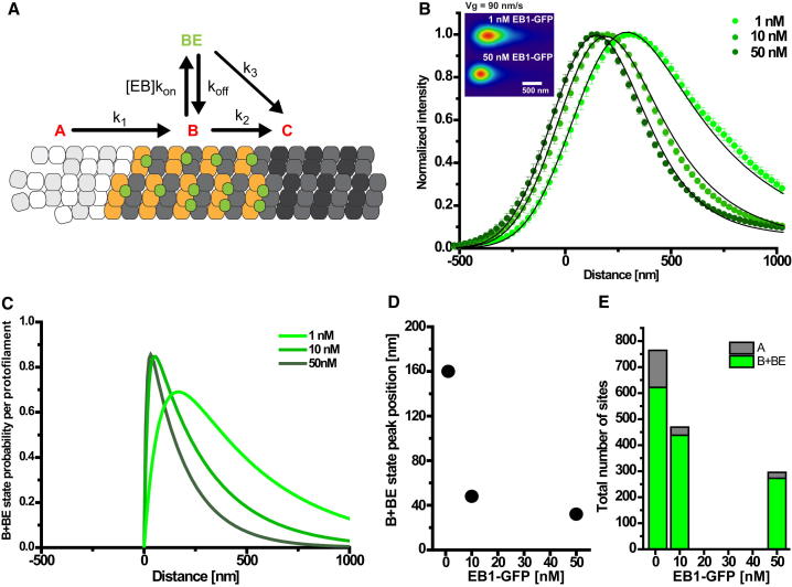 Figure 5