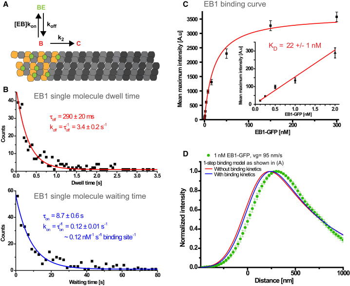 Figure 3