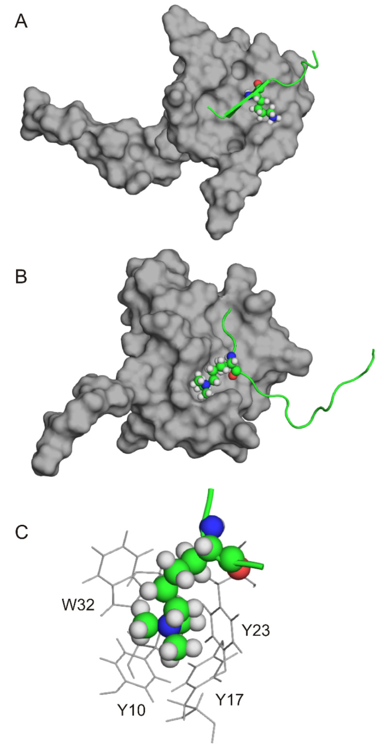 Figure 6