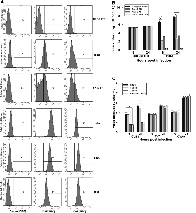 Fig 5