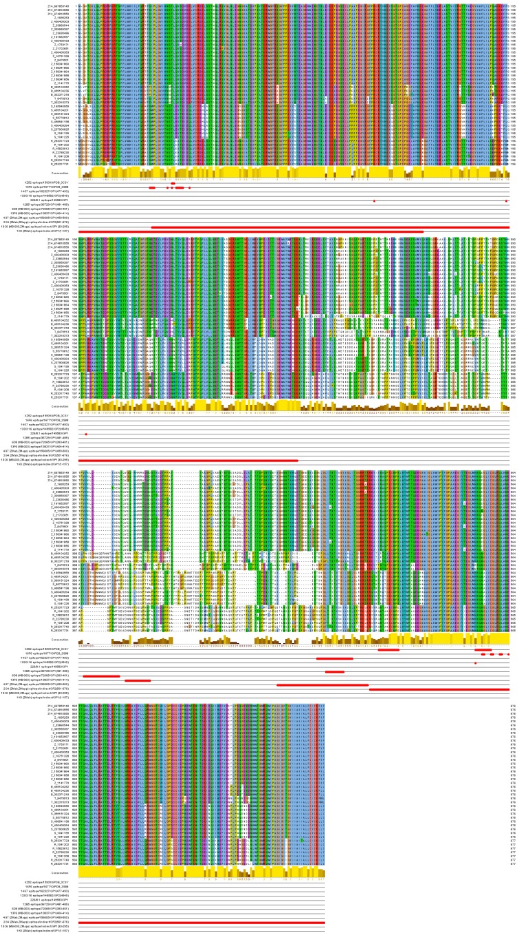 Ebolavirus sequence conservation of known protective mAb epitopes.