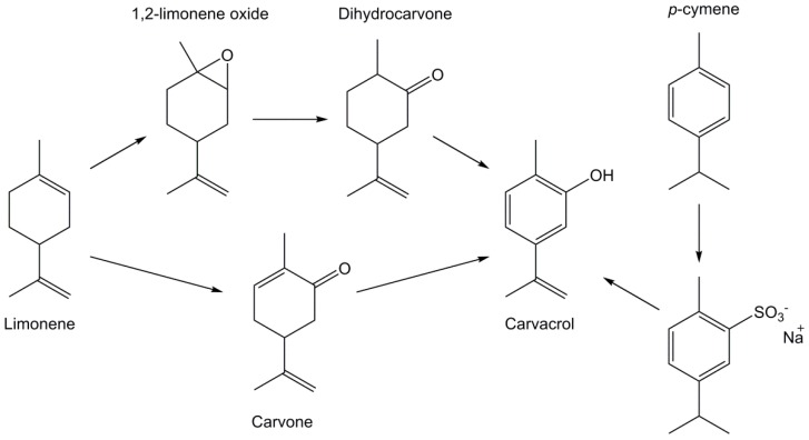 Scheme 7