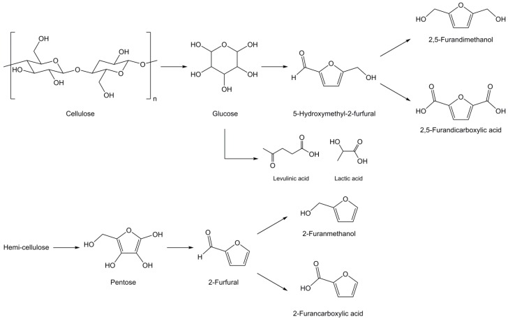 Scheme 6