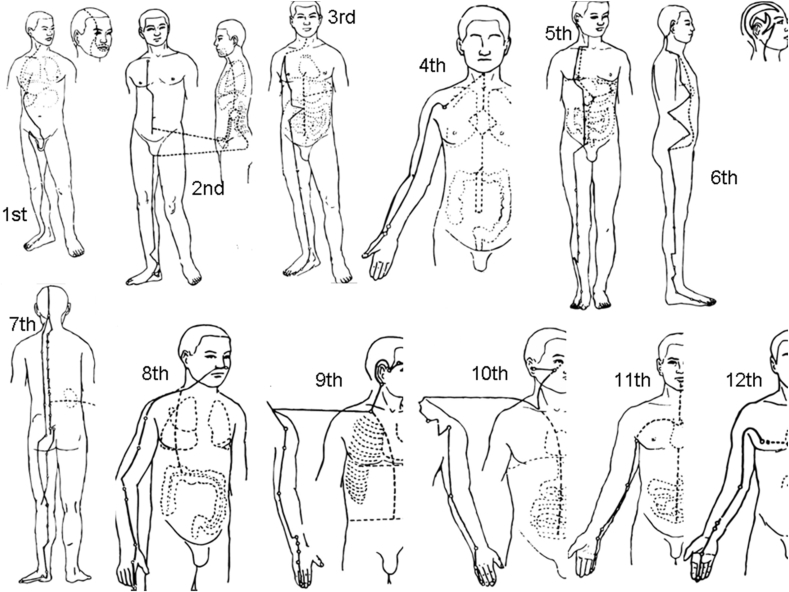 Fig. 2