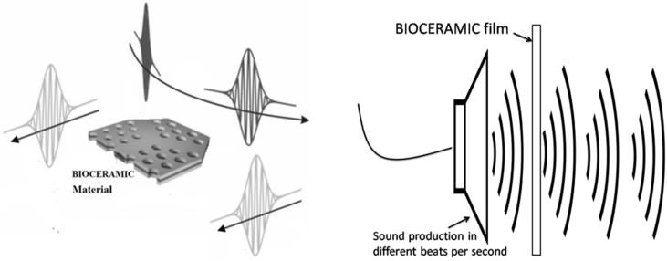 Fig. 1
