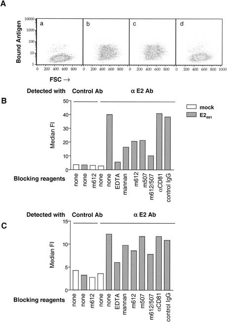 FIG. 7.