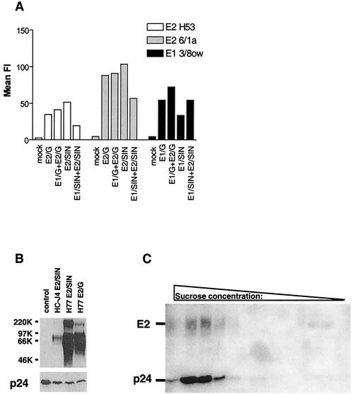 FIG. 3.