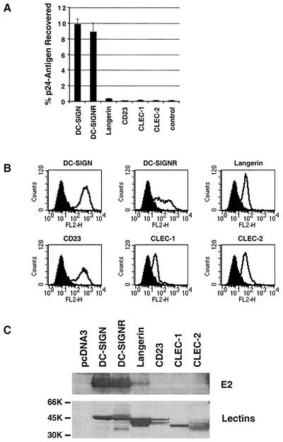 FIG. 8.