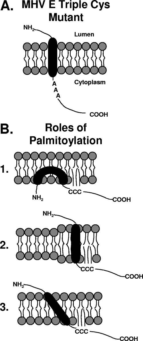 FIG. 10.