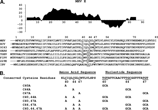 FIG. 1.