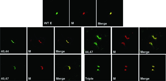 FIG. 6.