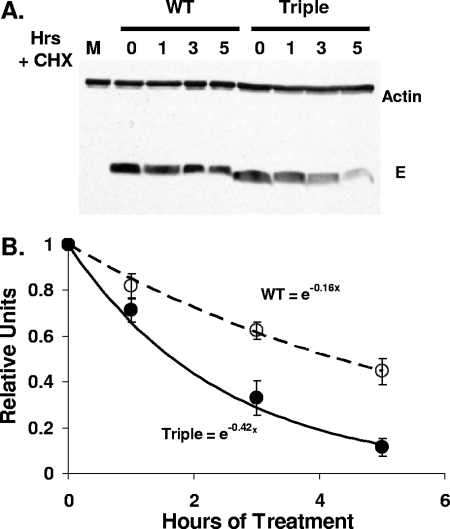 FIG. 9.