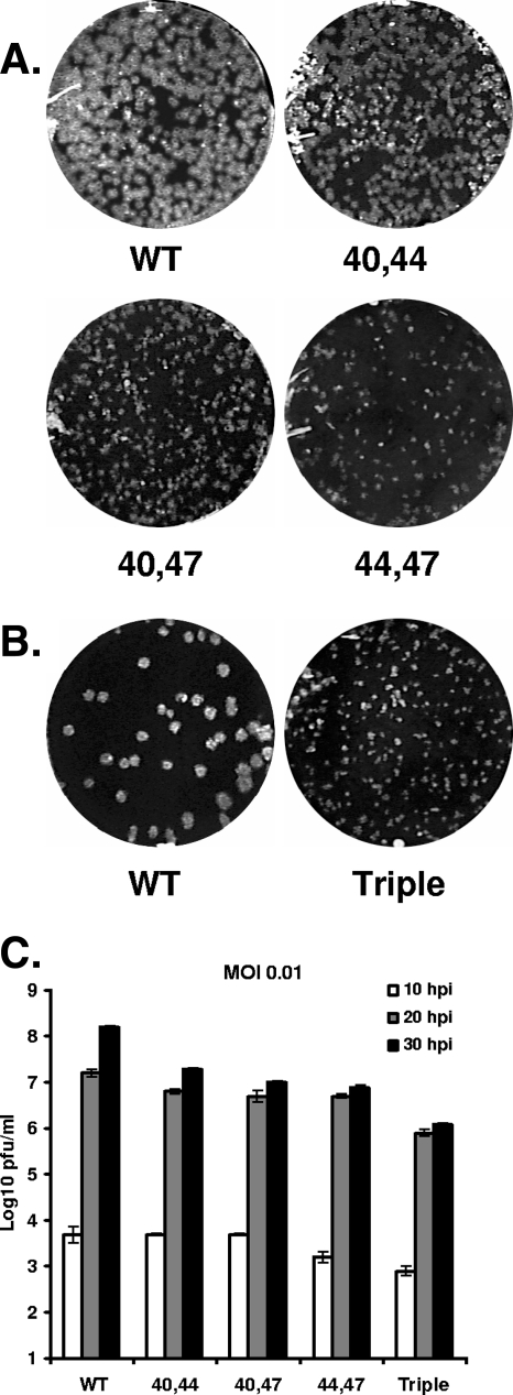 FIG. 4.