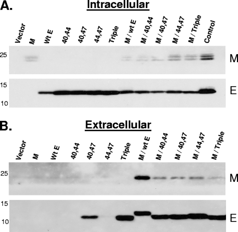 FIG. 5.