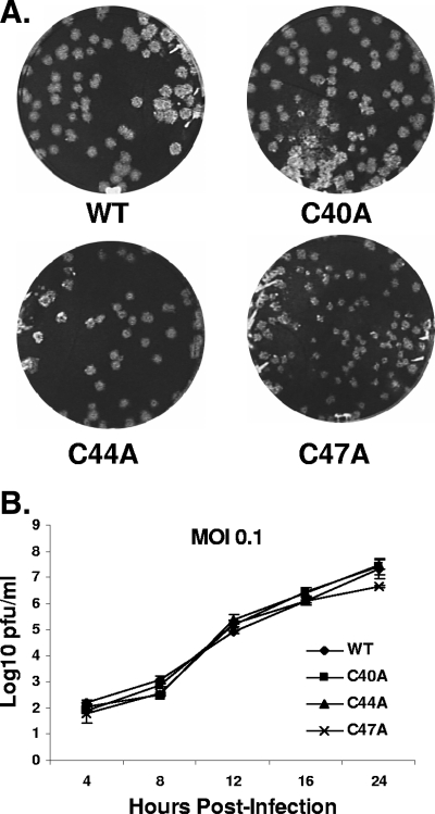 FIG. 3.