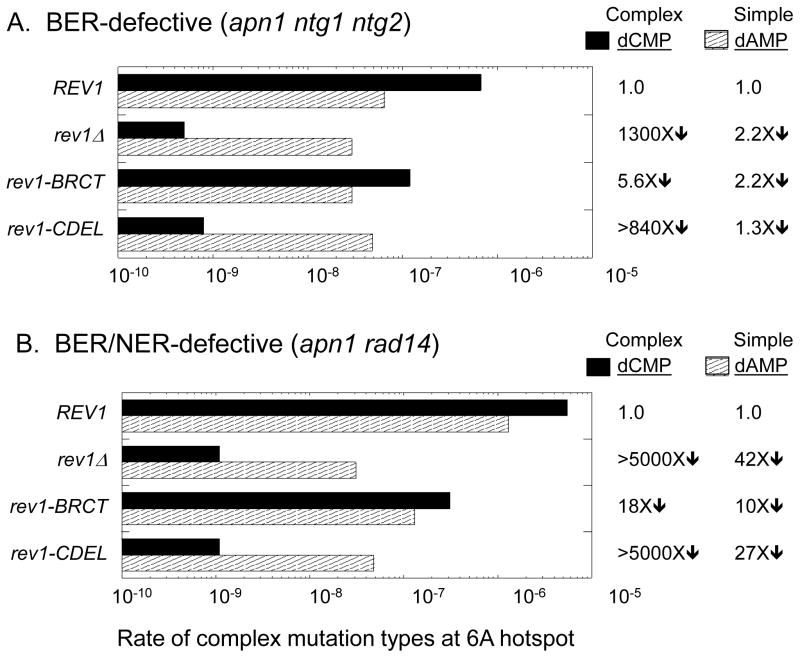 Figure 6