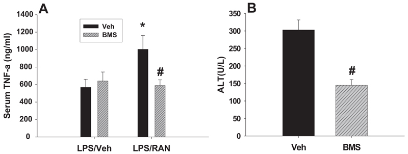 Fig. 9.