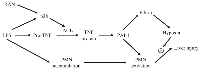 Fig. 12.