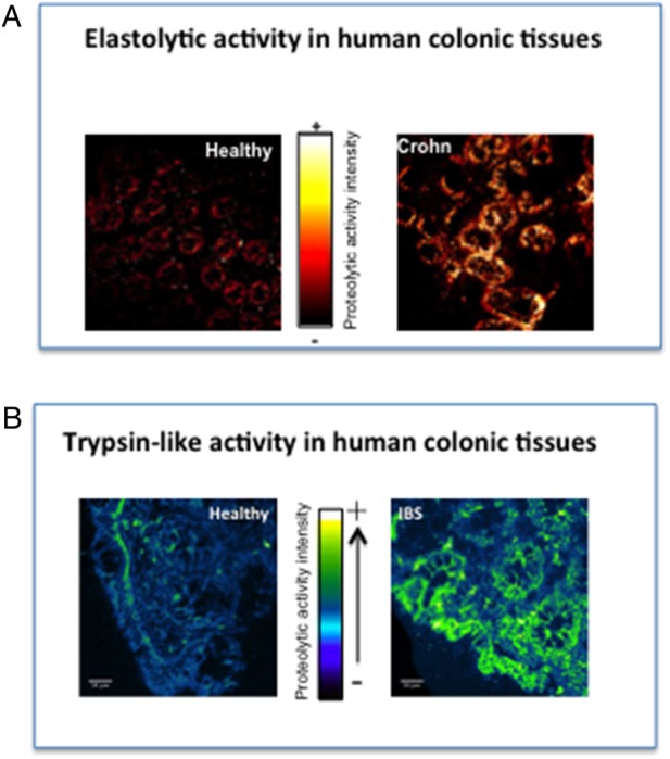 Figure 3