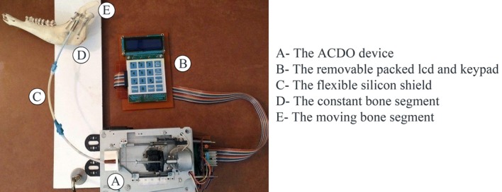 Fig. 10