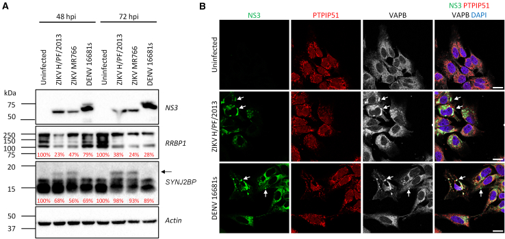Figure 3