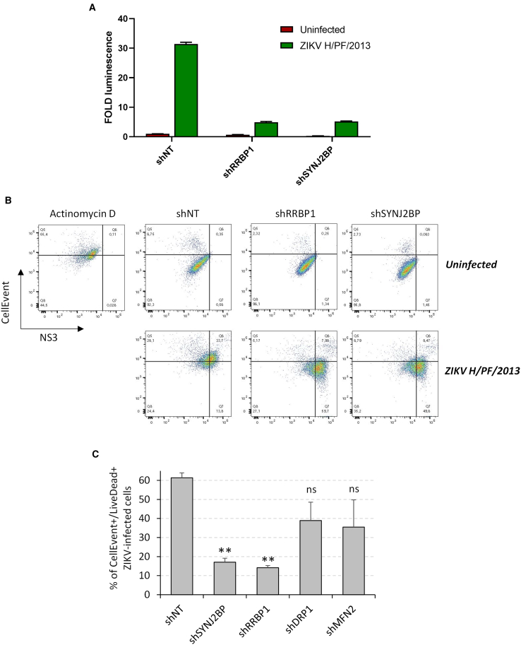 Figure 6