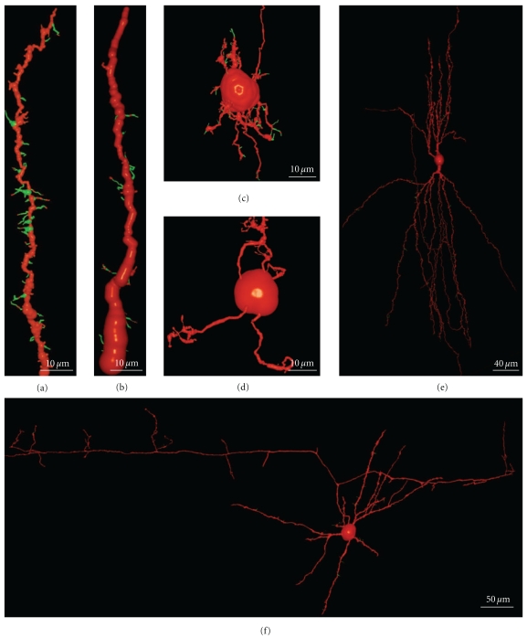 Figure 19