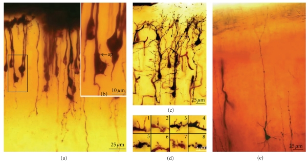 Figure 13