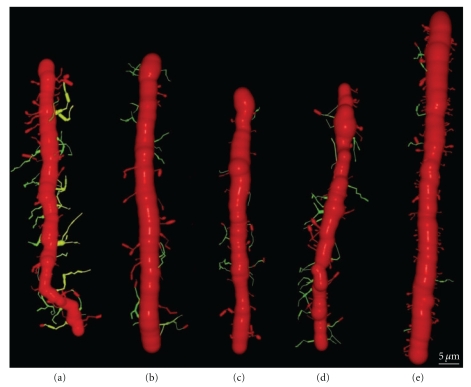 Figure 17