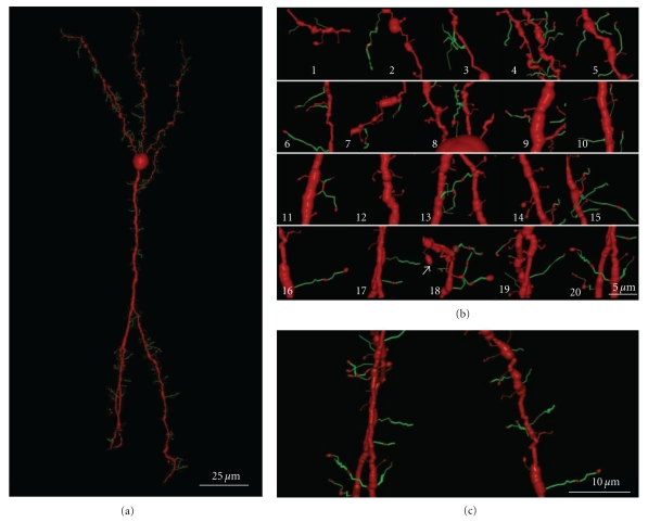 Figure 18