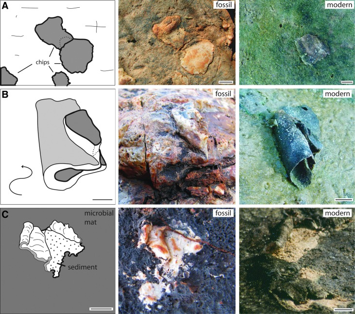 FIG. 7.