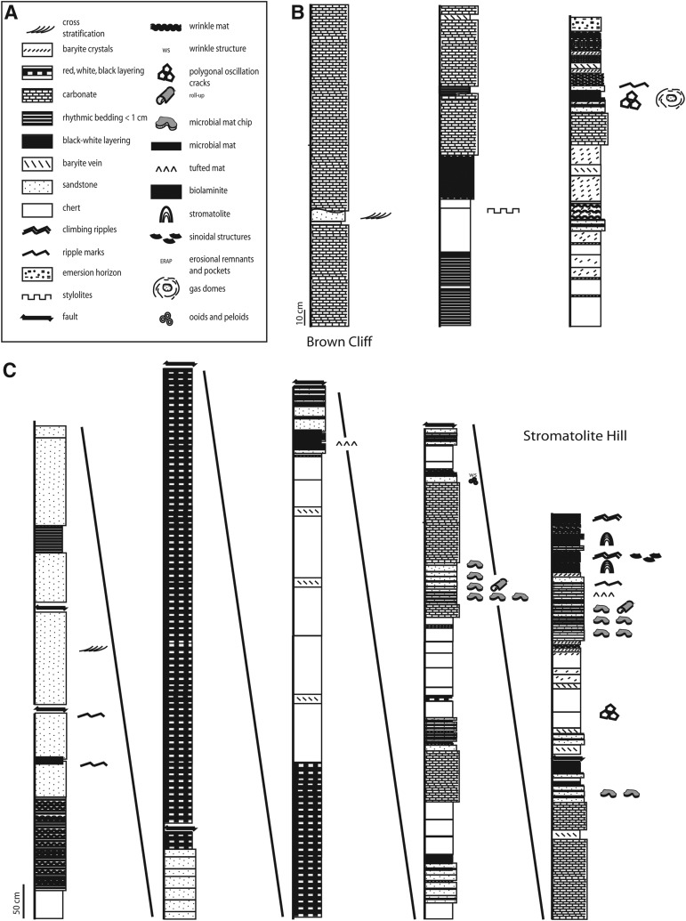 FIG. 3.