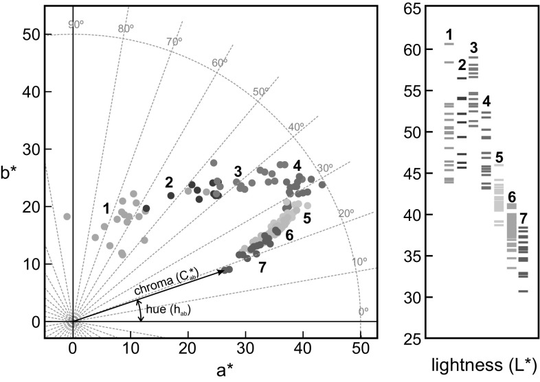 Fig. 1