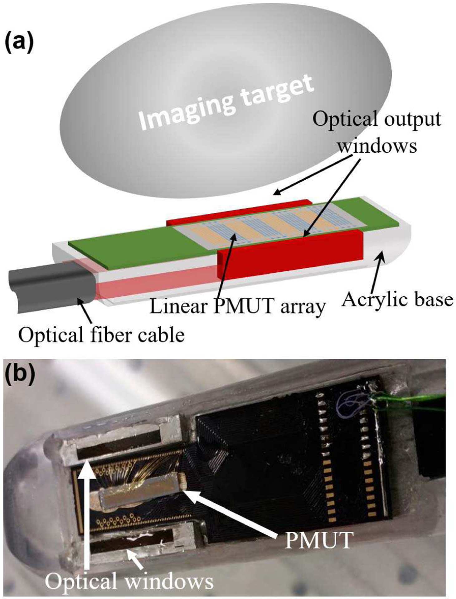 Fig. 2.