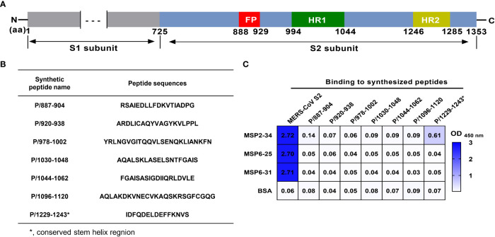 Figure 5