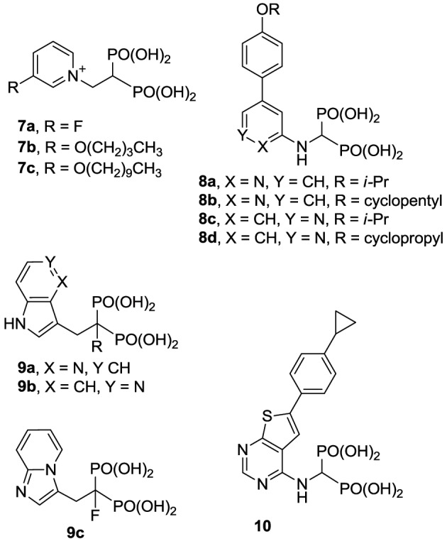 graphic file with name fchem-02-00050-g0008.jpg