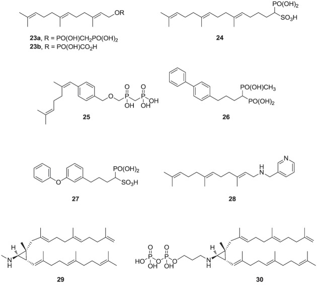 graphic file with name fchem-02-00050-g0011.jpg