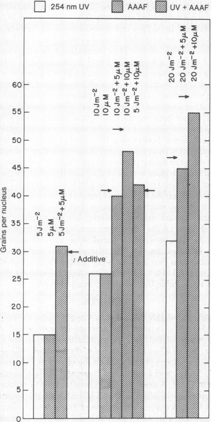 graphic file with name pnas00026-0254-a.jpg