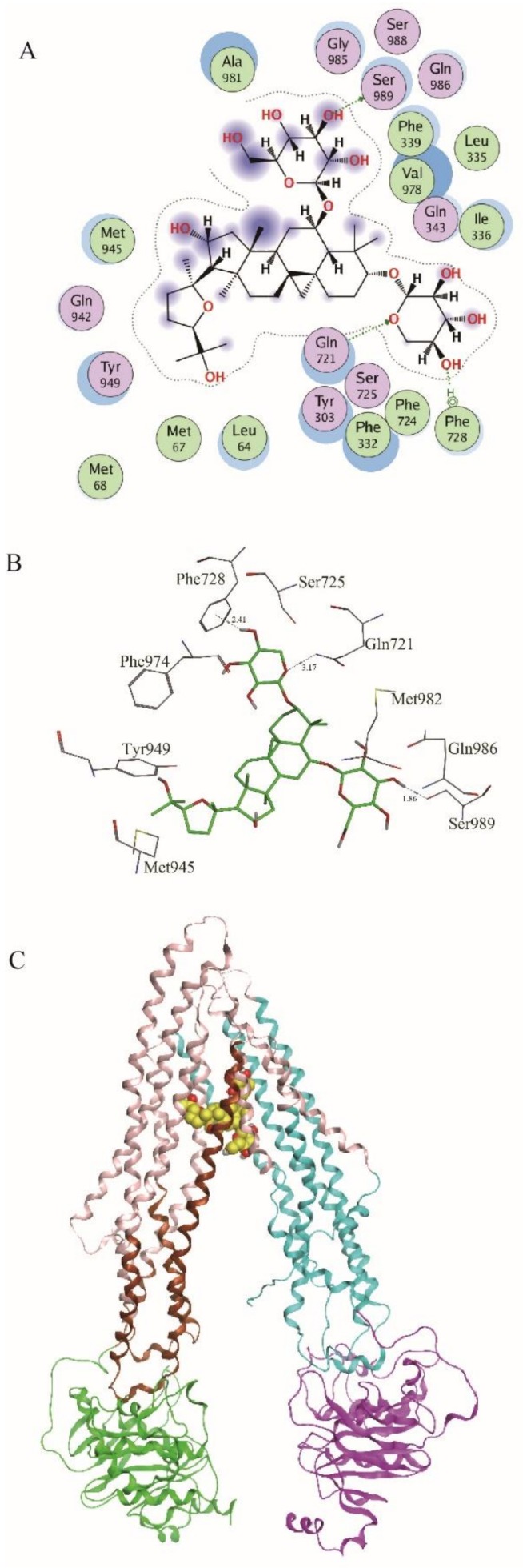 Figure 4