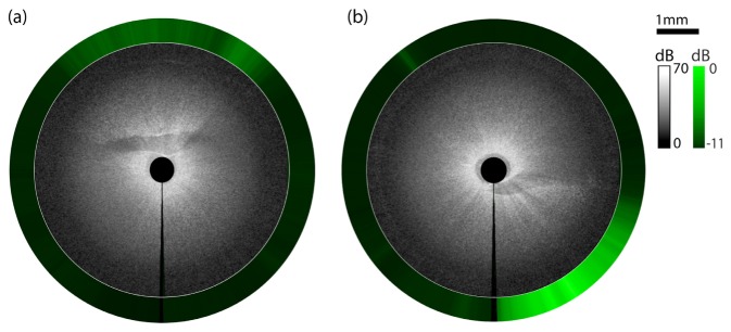 Fig. 10