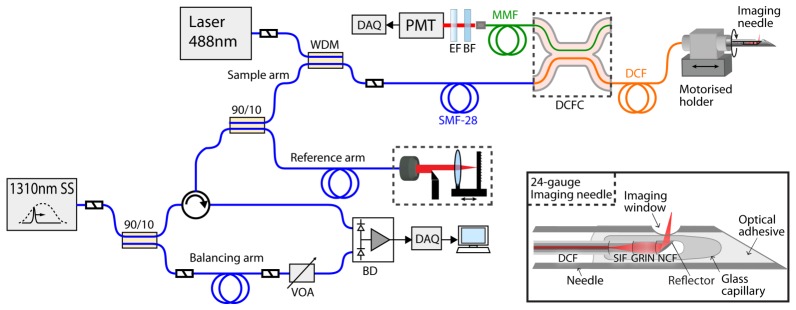 Fig. 1