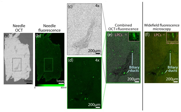 Fig. 9